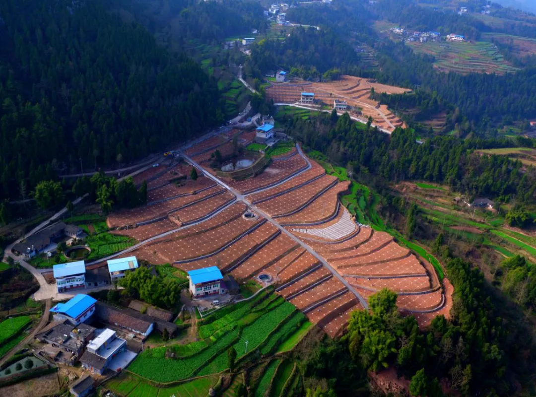 智慧水利体系中“2+N”是什么意思？